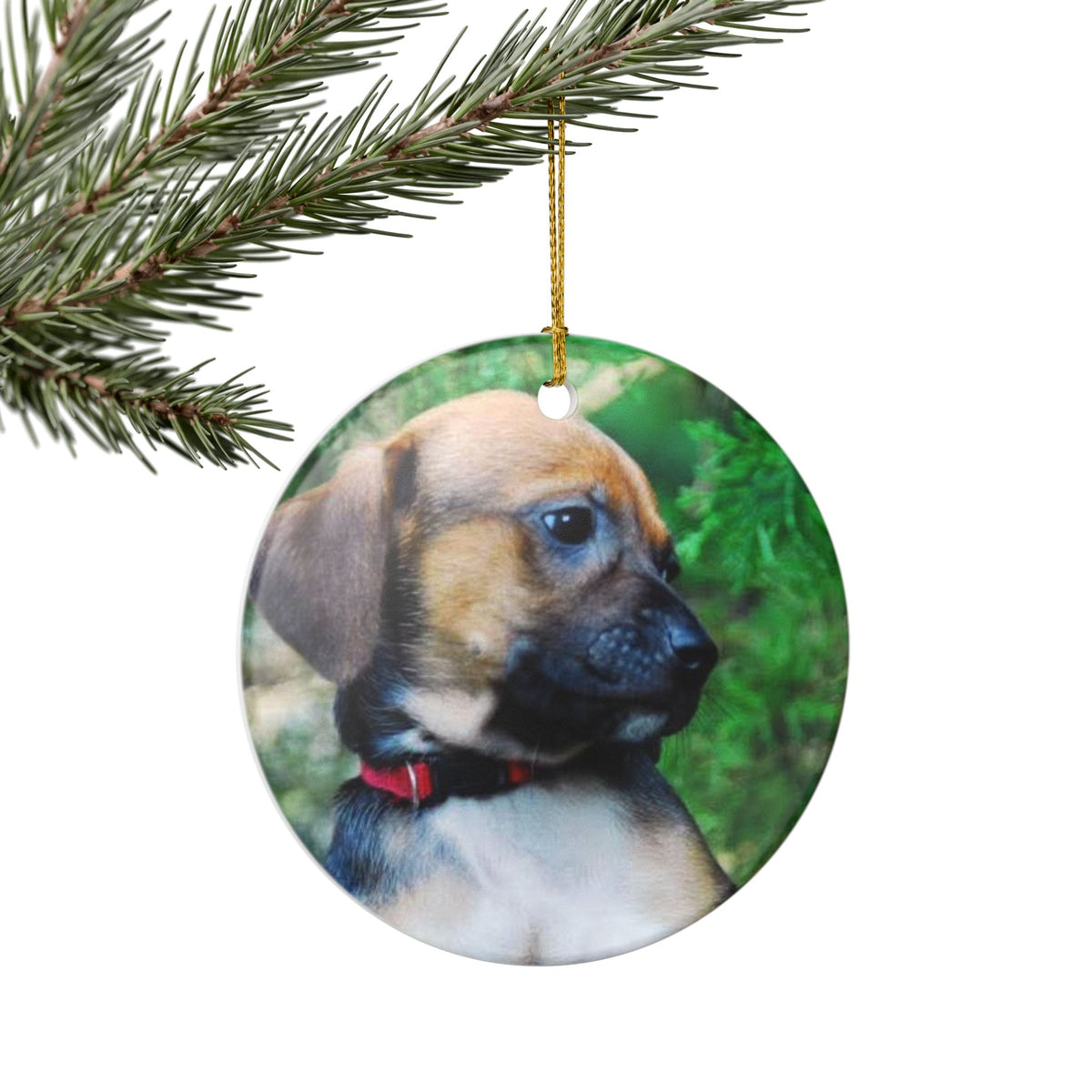 Puppy Portrait Ornament | Ceramic Round Photo Ornament