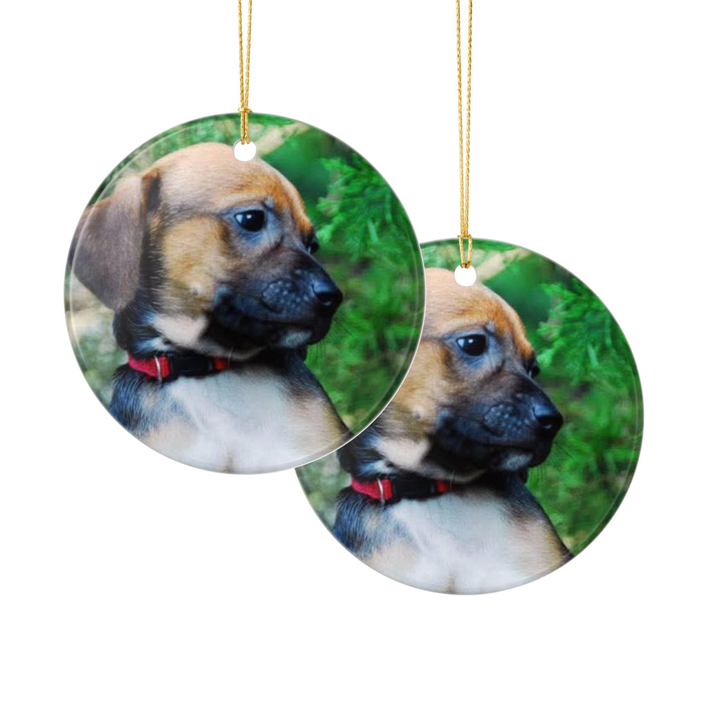 Puppy Portrait Ornament | Ceramic Round Photo Ornament