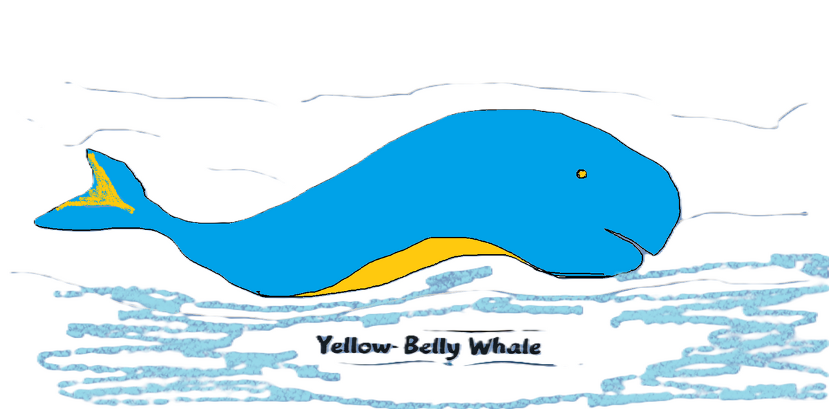 Yellow-Belly Whale Art Print — Folk Art Wall Decor